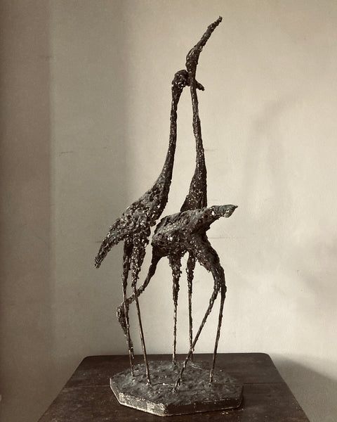 Birds by Daphne Anne Dare