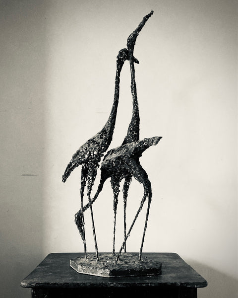 Birds by Daphne Anne Dare